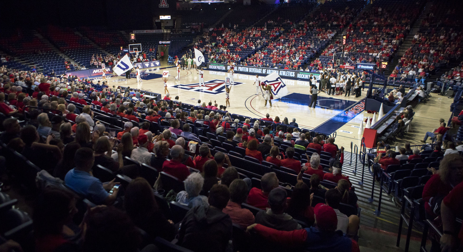Arizona Wildcats women's Basketball